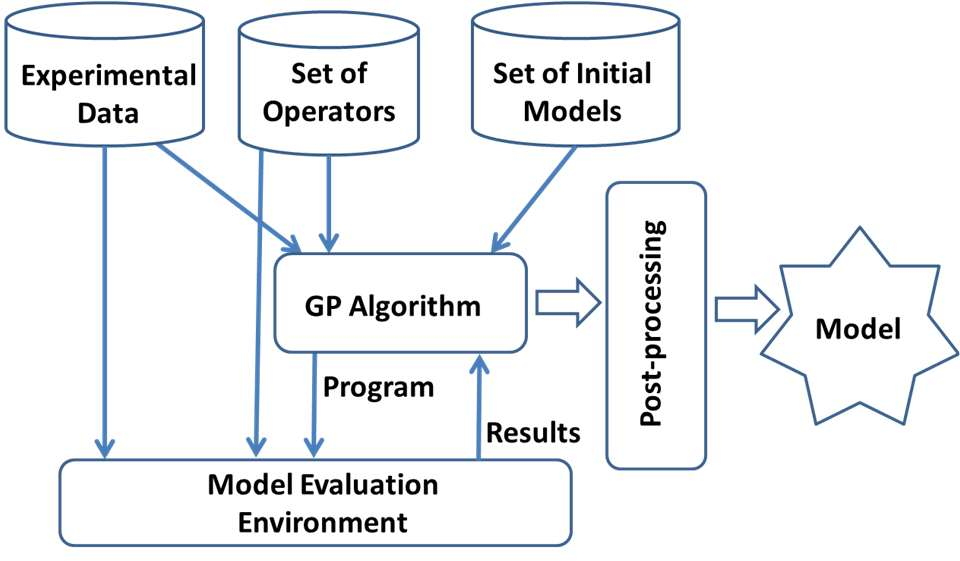 Overview of the proposed methodology.